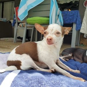 Meet your Posher, Denise